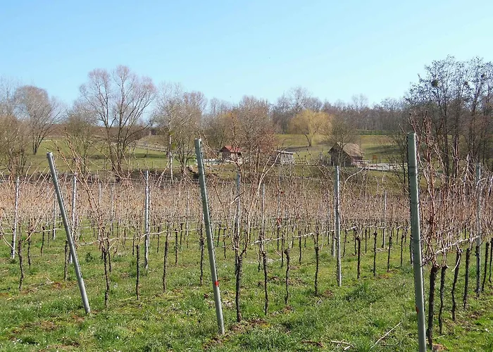 Ferienwohnungen Hog , Ringsheim