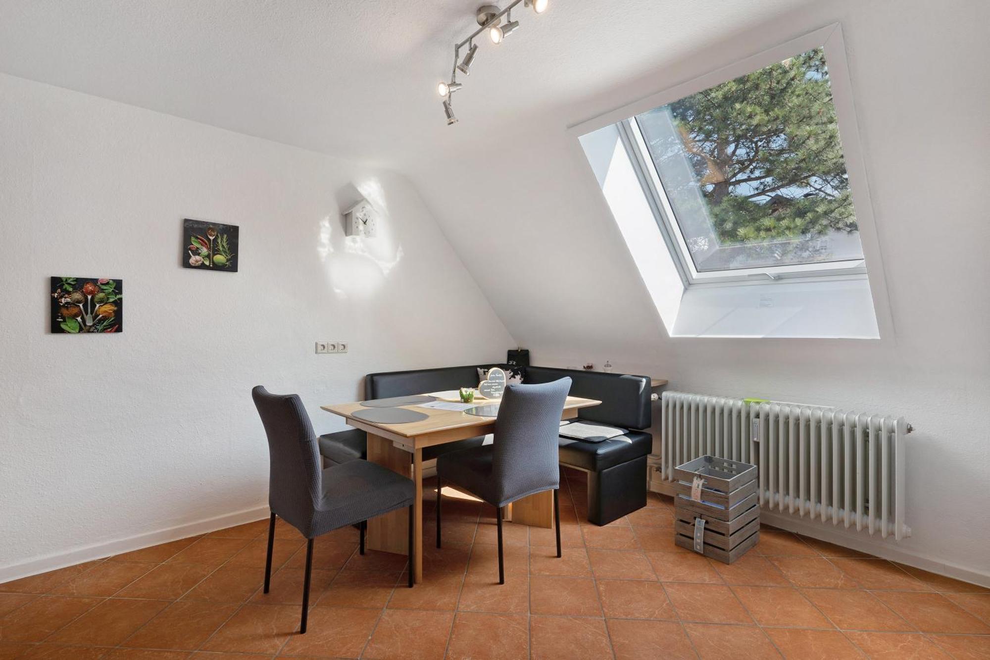 Hog * Ringsheim